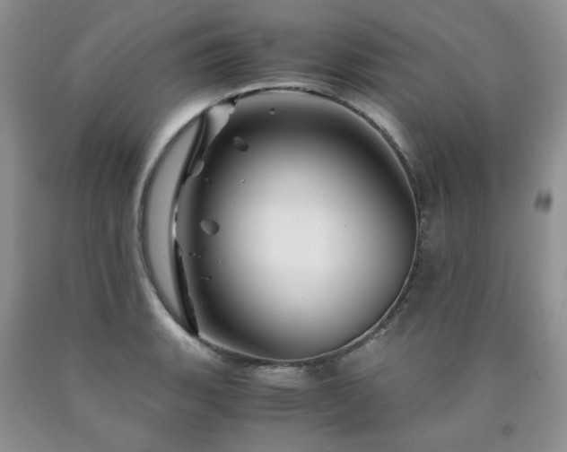 X0000090761135200707201458