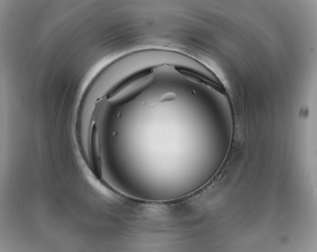 X0000090761136200707201458