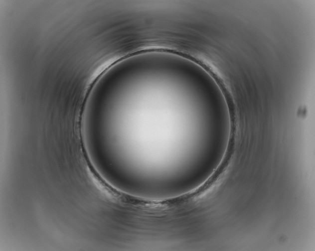 X0000090761137200707201458