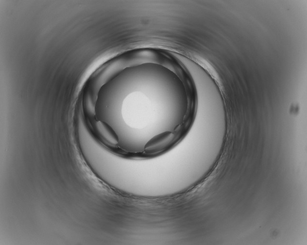 X0000090761138200707201458