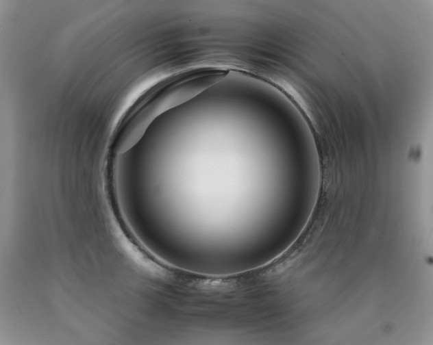 X0000090761139200707201458