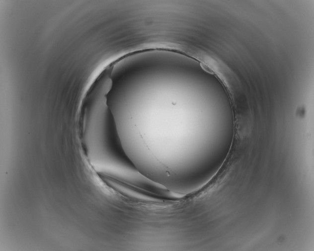 X0000090761140200707201458