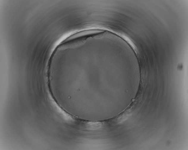 X0000090761142200707201458