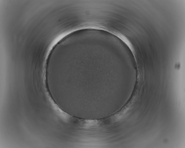 X0000090761144200707201458