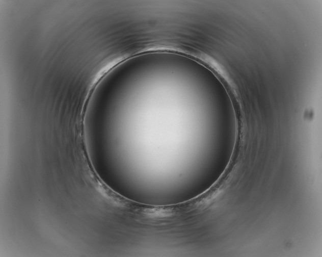 X0000090761145200707201458