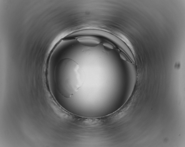 X0000090761146200707201458