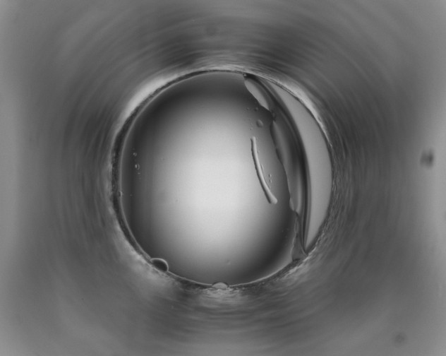 X0000090761147200707201458