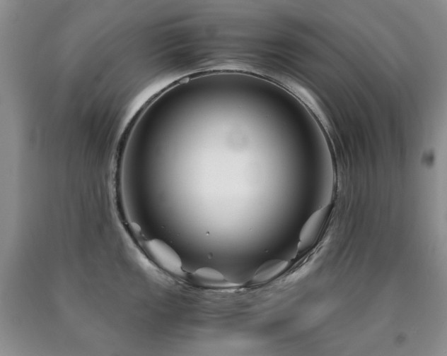 X0000090761149200707201458