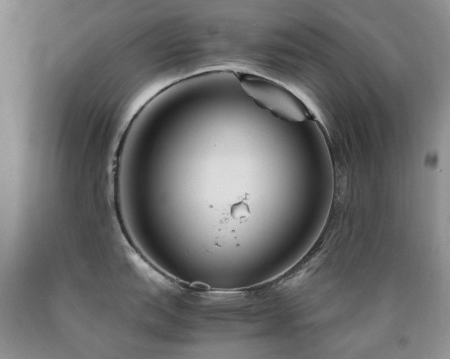 X0000090761151200707201458