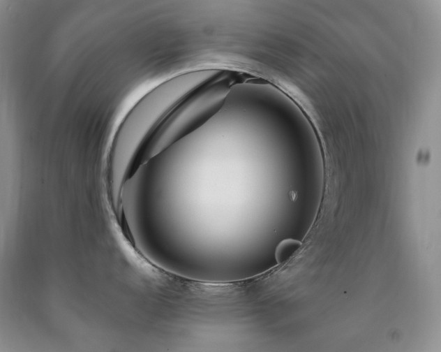 X0000090761152200707201458