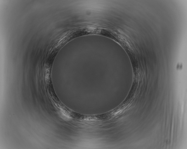 X0000090761154200707201457