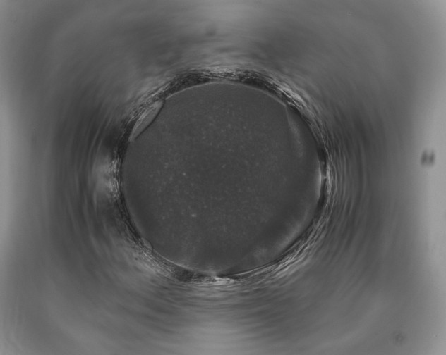 X0000090761156200707201457