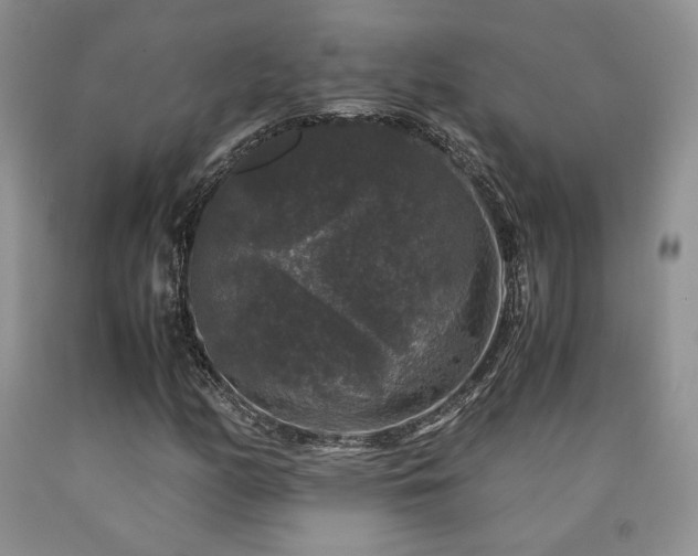 X0000090761158200707201457