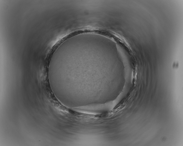 X0000090761160200707201457