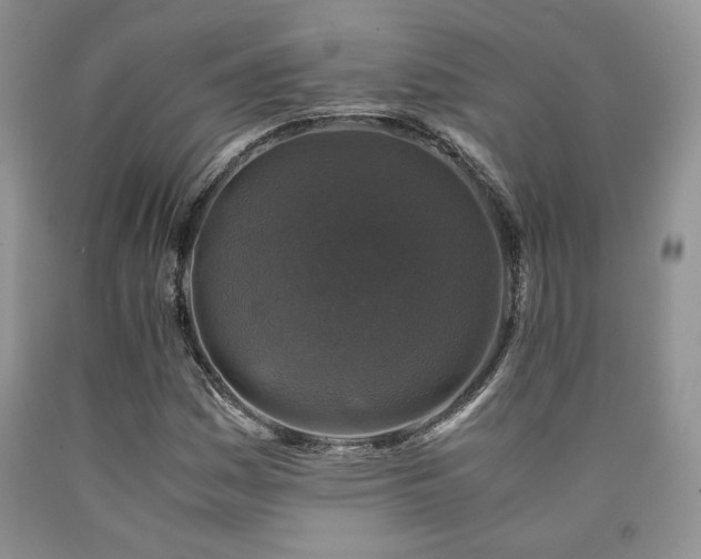 X0000090761161200707201457