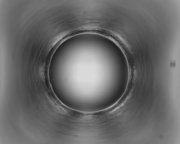 X0000090761162200707201457