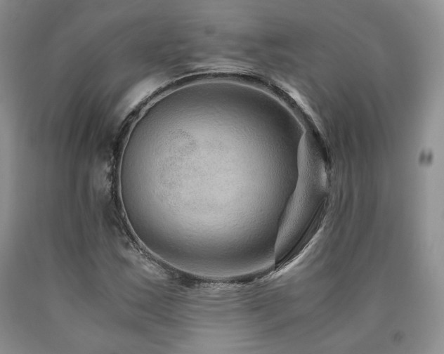 X0000090761163200707201457