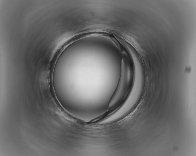 X0000090761164200707201457