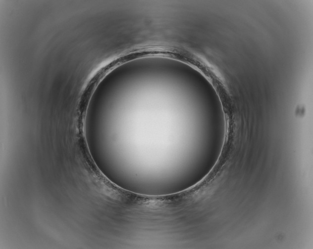 X0000090761166200707201457