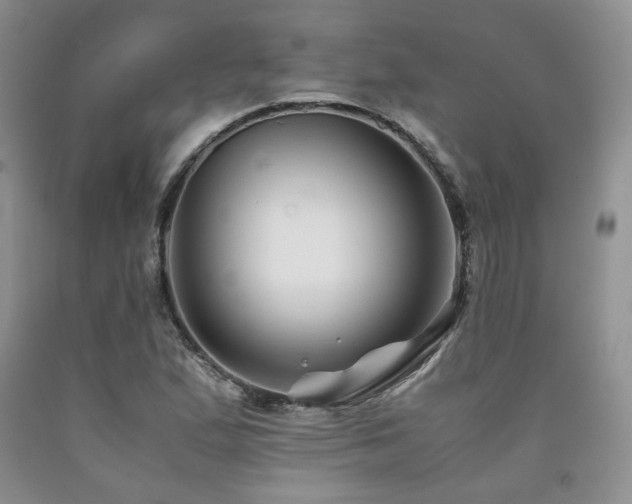 X0000090761167200707201457