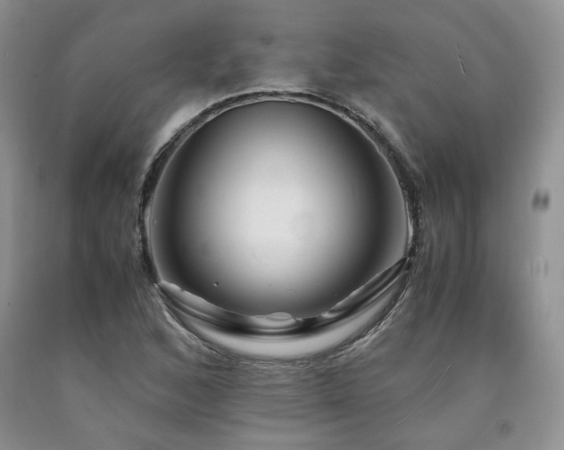 X0000090761168200707201457