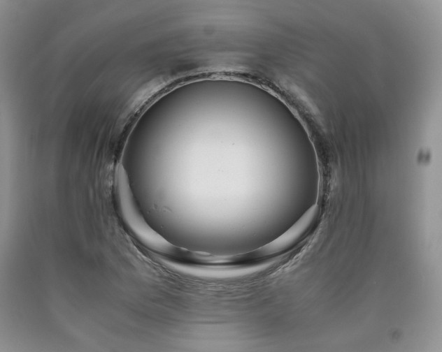 X0000090761169200707201457