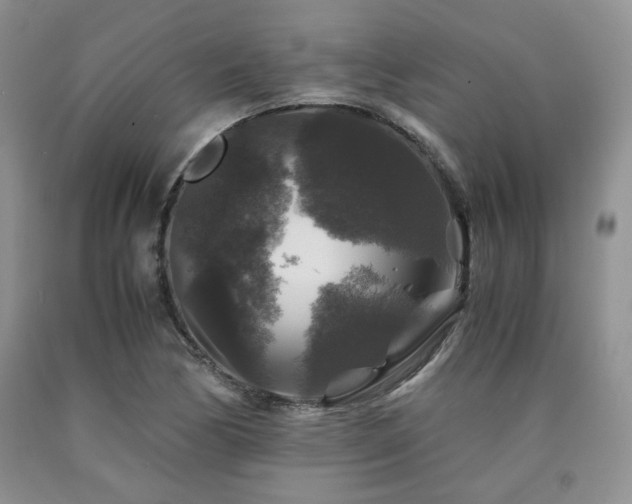 X0000090761170200707201457