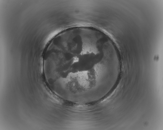 X0000090761171200707201457