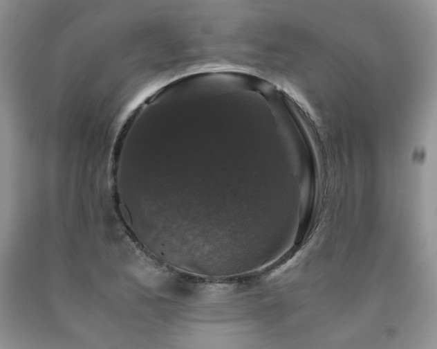 X0000090761173200707201457