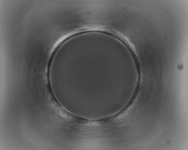 X0000090761174200707201457