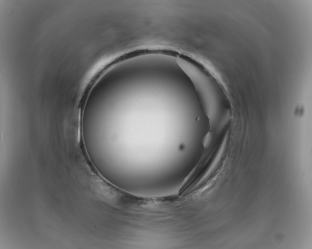 X0000090761175200707201457