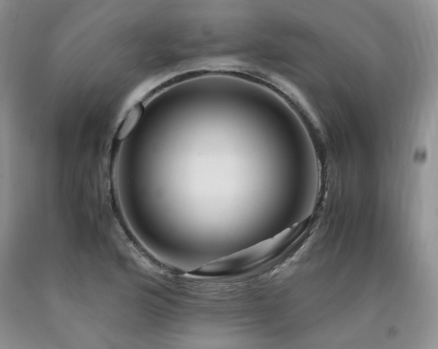 X0000090761176200707201457