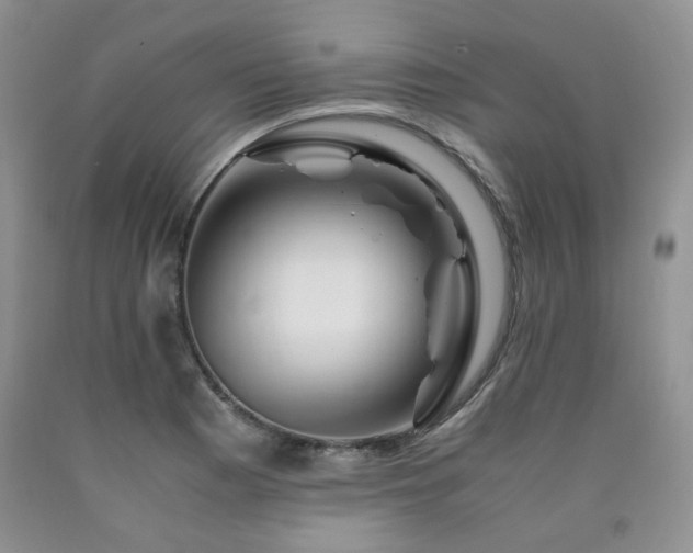 X0000090761177200707201457