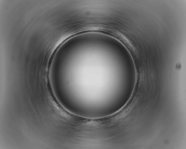 X0000090761178200707201457