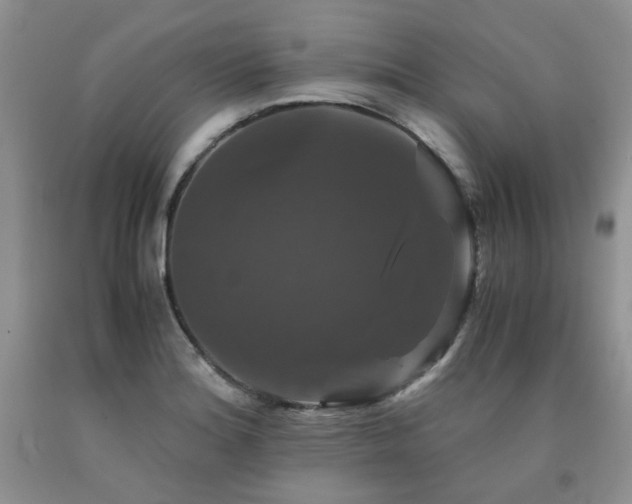 X0000090761180200707201457