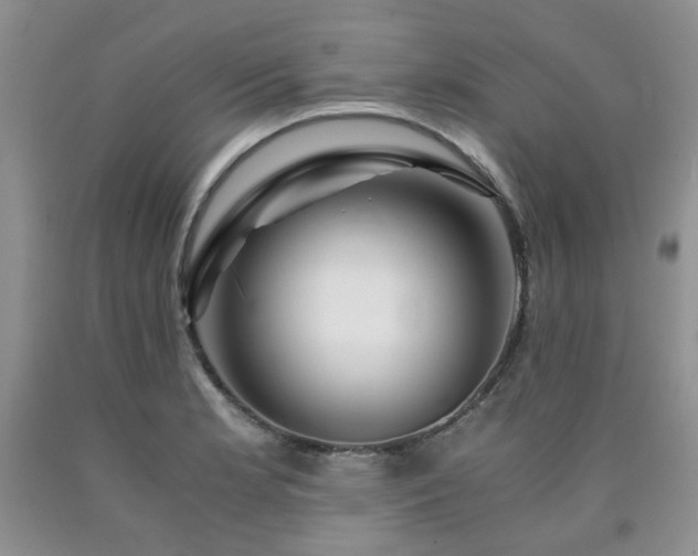 X0000090761181200707201457