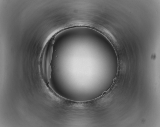 X0000090761182200707201457