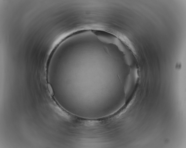 X0000090761184200707201457