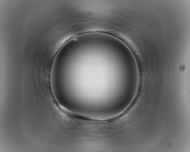 X0000090761185200707201457