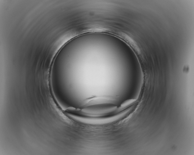 X0000090761186200707201457