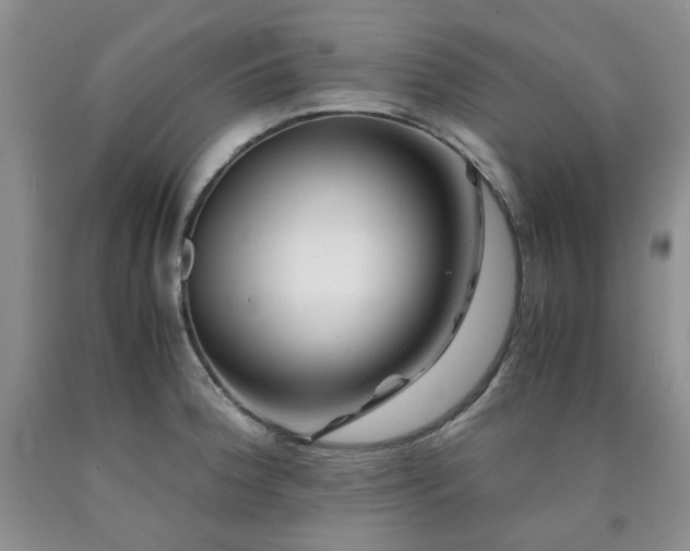 X0000090761188200707201457