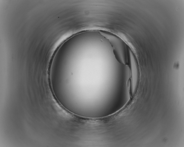 X0000090761189200707201457