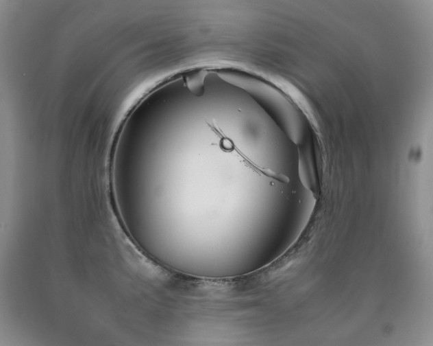 X0000090761191200707201457