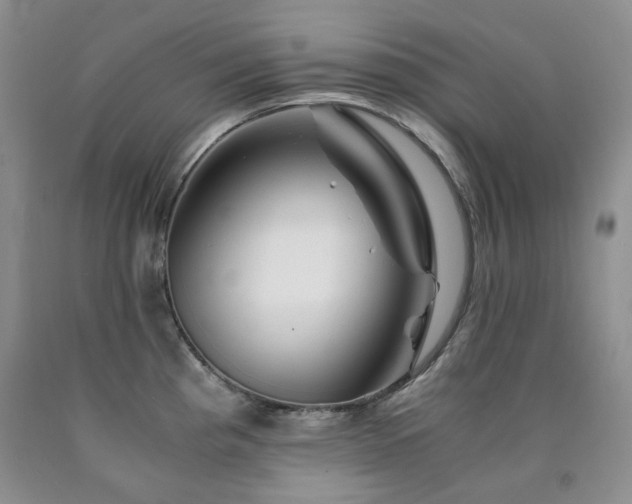 X0000090761193200707201457