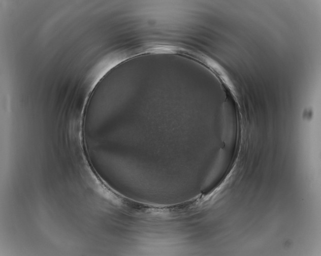 X0000090761194200707201457