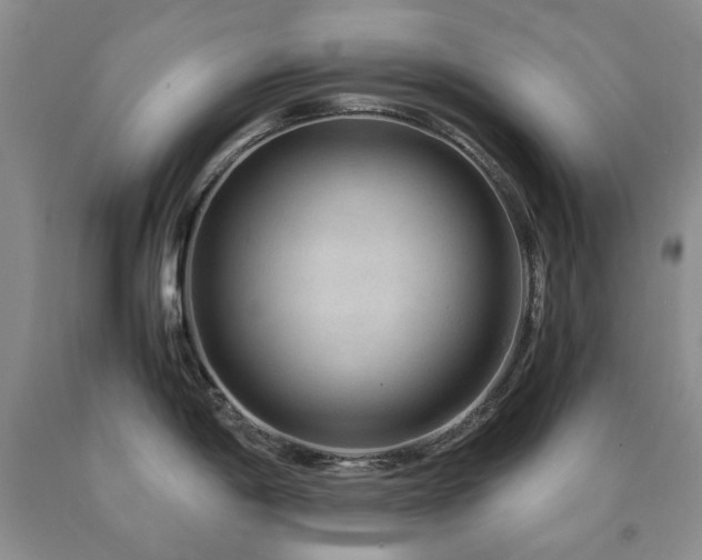 X0000090761198200707201457