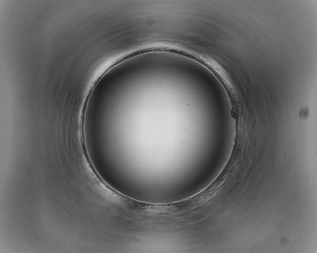 X0000090761199200707201457