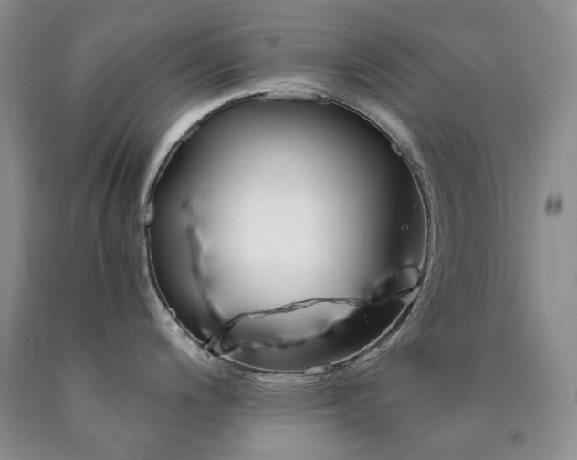 X0000090761200200707201457