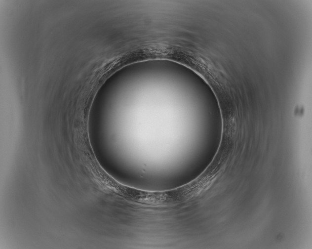 X0000090761201200707201456