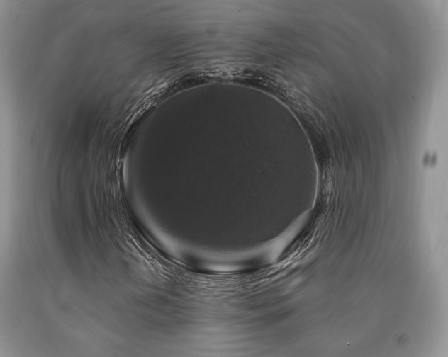 X0000090761202200707201456